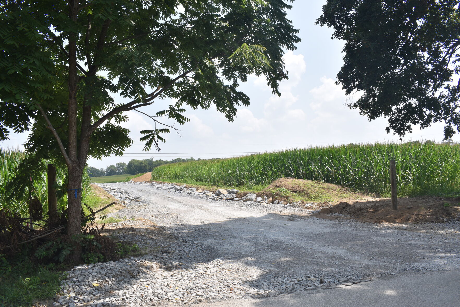 Hickman Hill 2